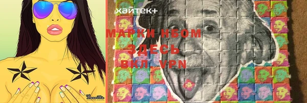 твердый Алексин